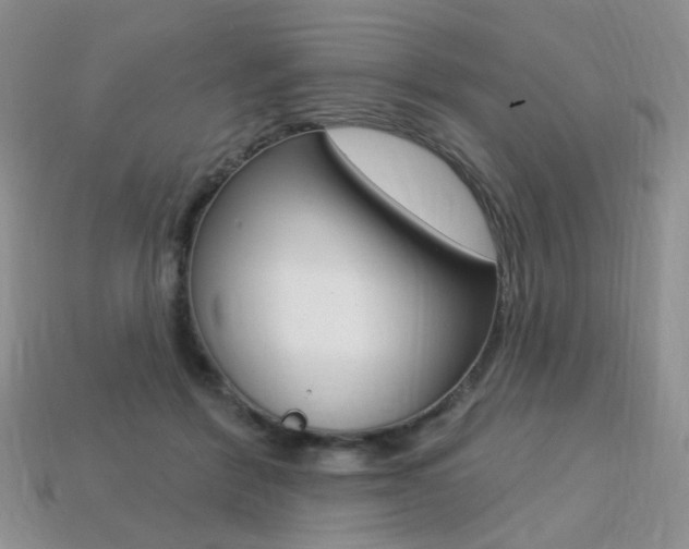 X0000113230412200909100947