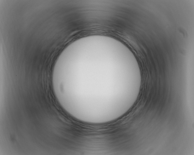X0000113230413200909100947