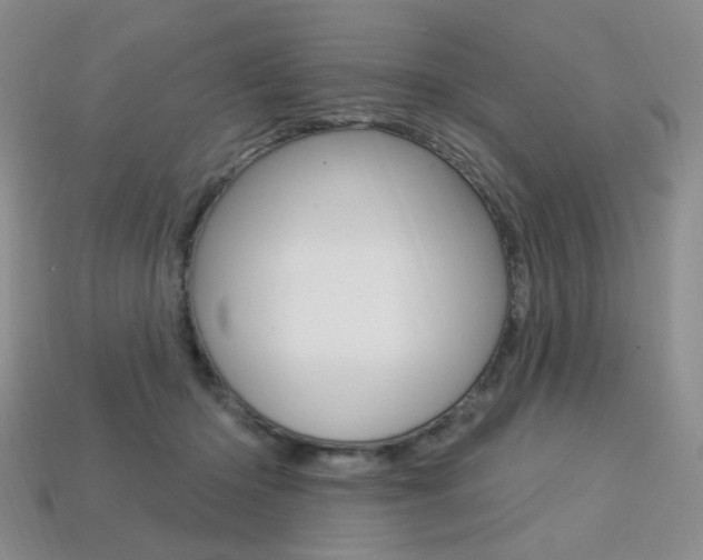 X0000113230414200909100947
