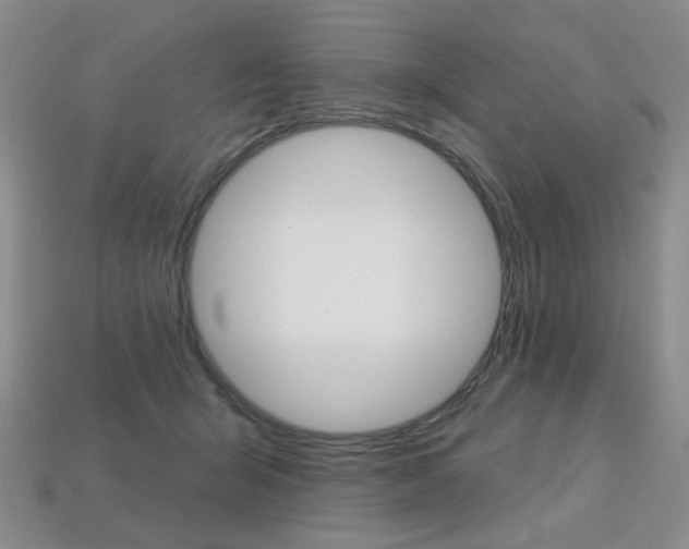 X0000113230415200909100947