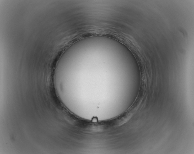 X0000113230416200909100947