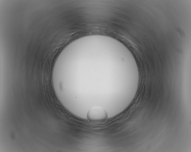 X0000113230417200909100947