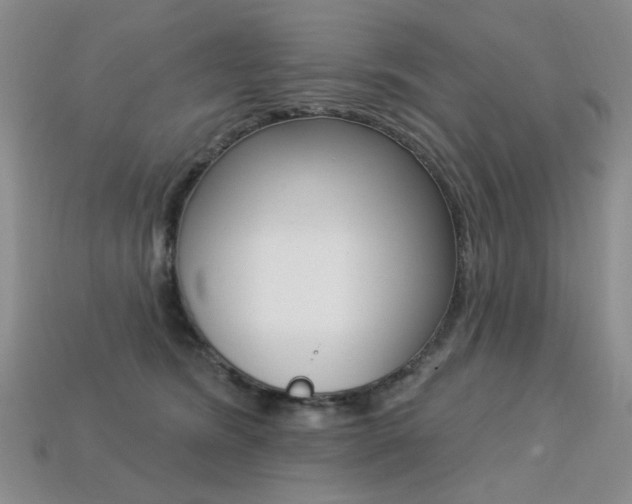 X0000113230420200909100947