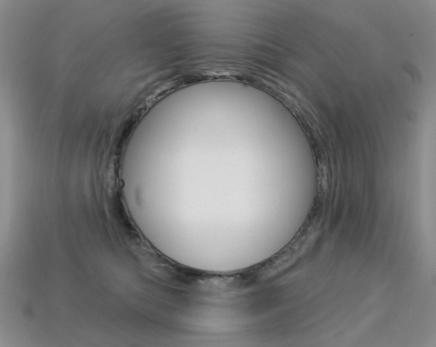 X0000113230422200909100947