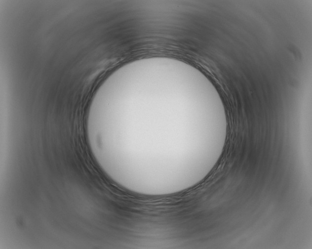 X0000113230423200909100947