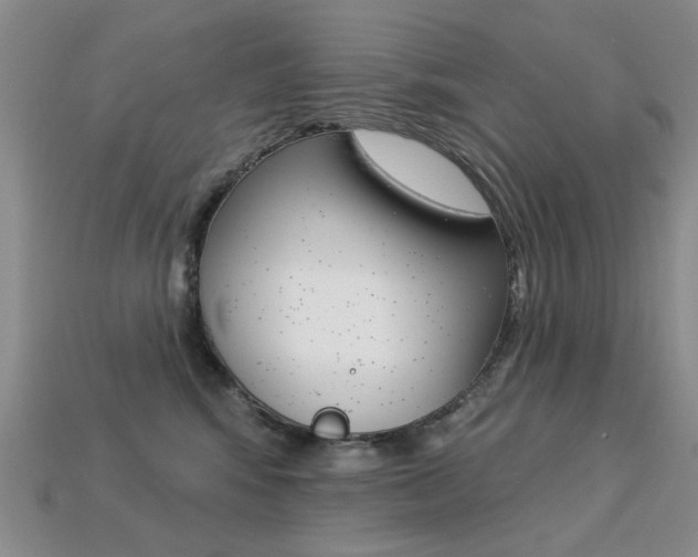 X0000113230424200909100947