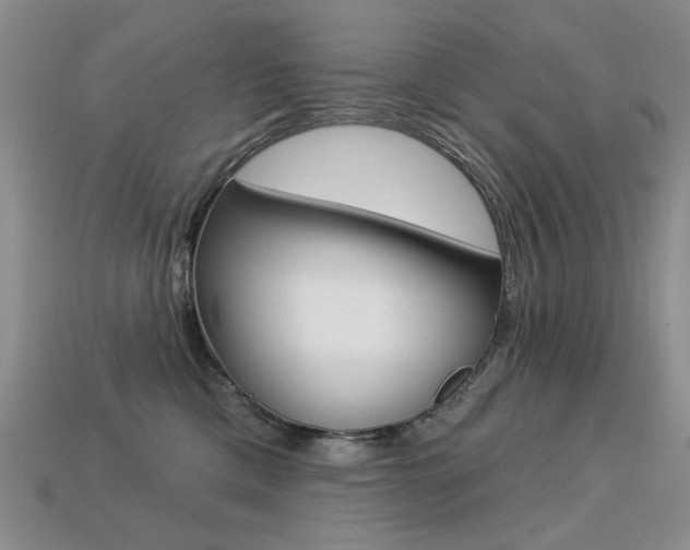 X0000113230425200909100947