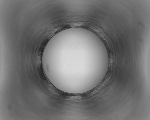 X0000113230426200909100947