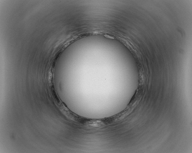 X0000113230427200909100947