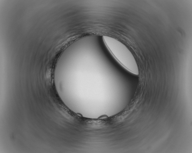 X0000113230428200909100947