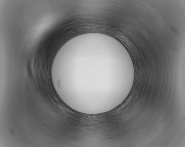 X0000113230429200909100947