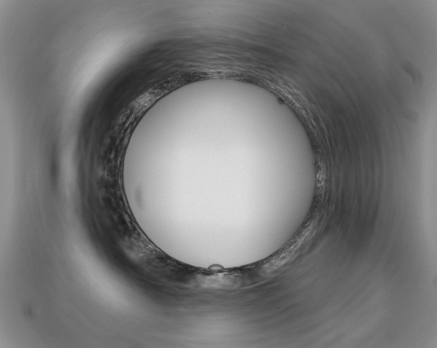 X0000113230430200909100947