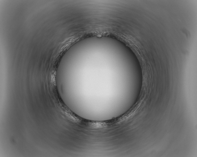 X0000113230432200909100947