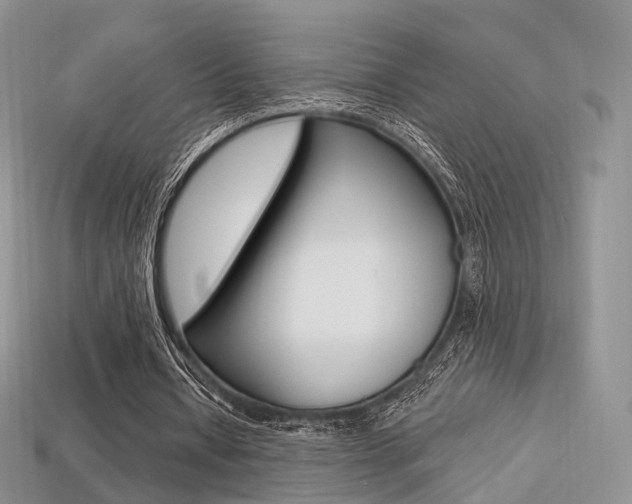 X0000113230434200909100946