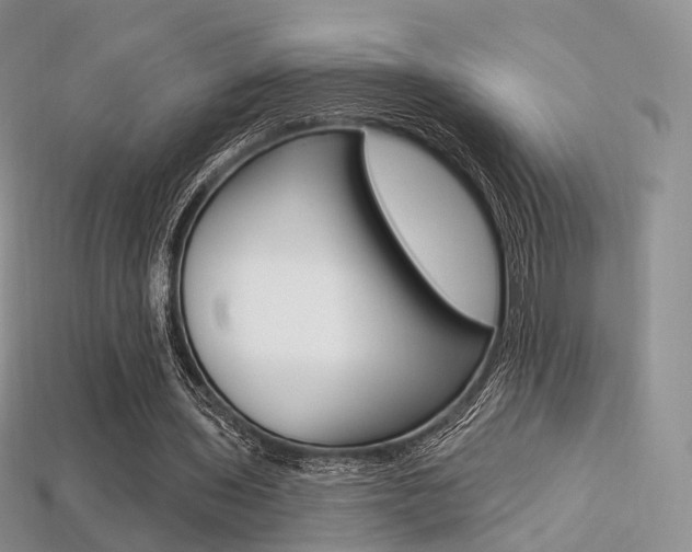 X0000113230435200909100946