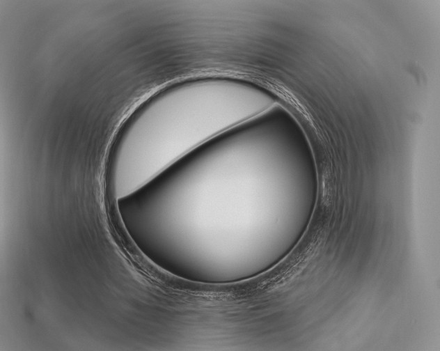 X0000113230436200909100946