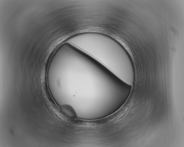 X0000113230437200909100946