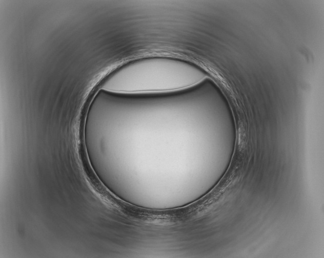 X0000113230438200909100946