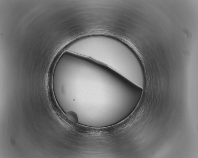 X0000113230439200909100946