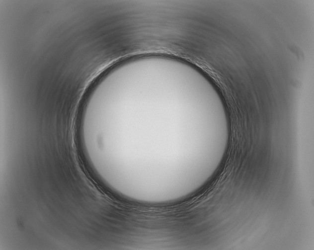 X0000113230440200909100946