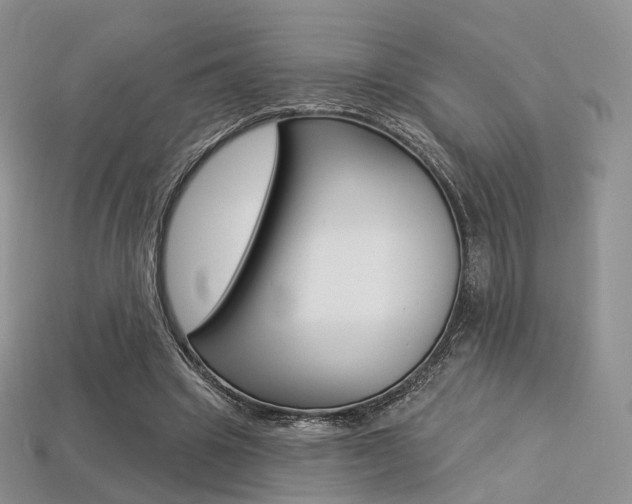 X0000113230441200909100946