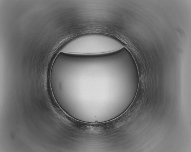 X0000113230442200909100946