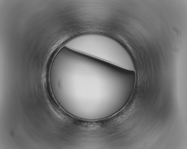 X0000113230443200909100946