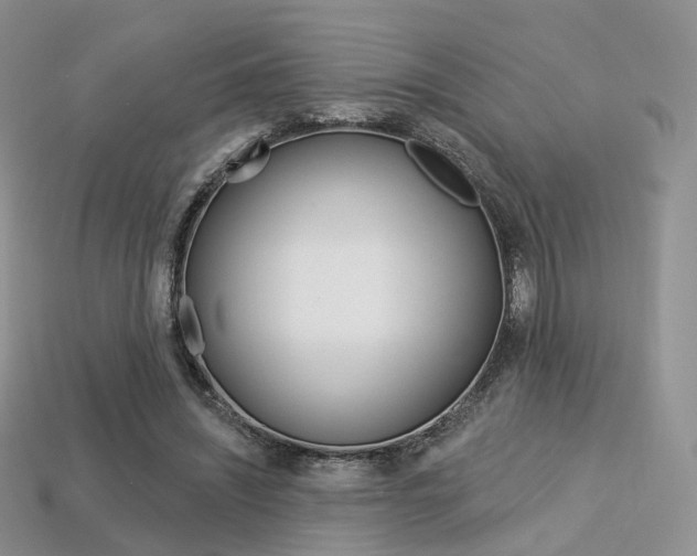X0000113230444200909100946