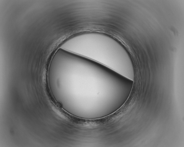 X0000113230445200909100946