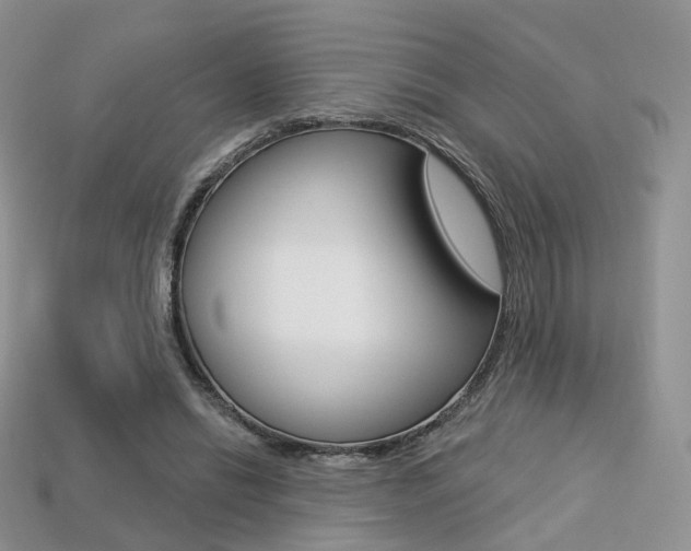 X0000113230446200909100946