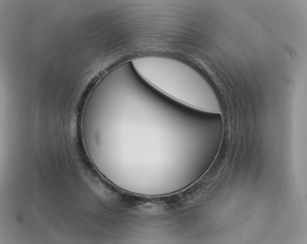 X0000113230447200909100946