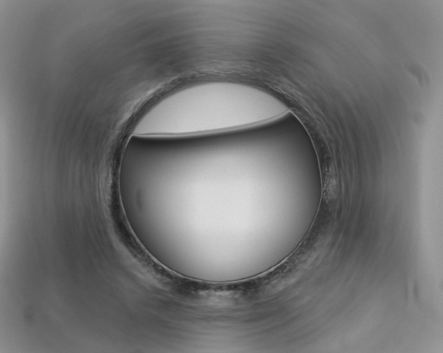 X0000113230448200909100946
