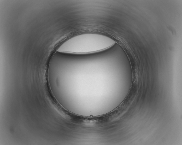 X0000113230450200909100946