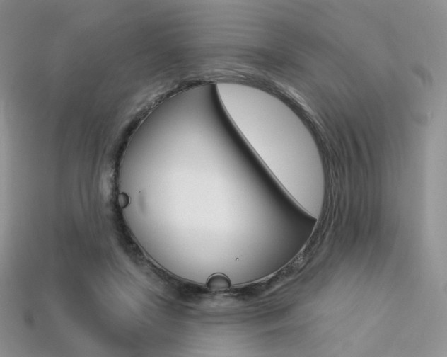 X0000113230451200909100946