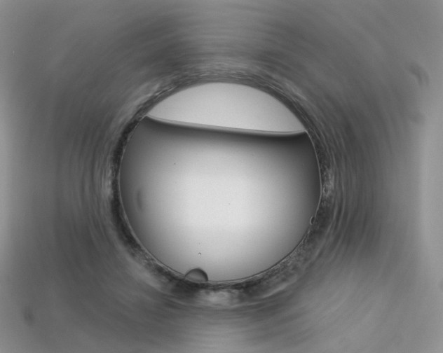X0000113230452200909100946
