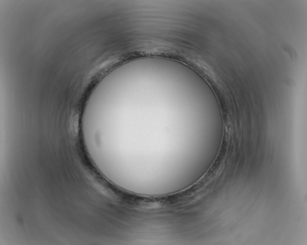 X0000113230454200909100947
