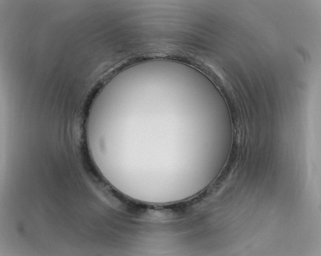 X0000113230455200909100947