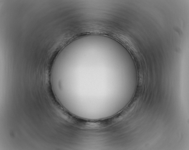 X0000113230457200909100947