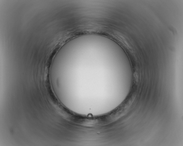 X0000113230458200909100947