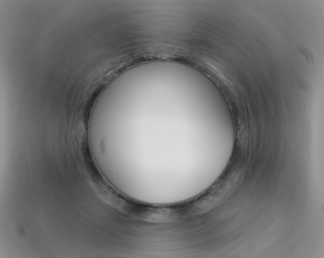 X0000113230459200909100947