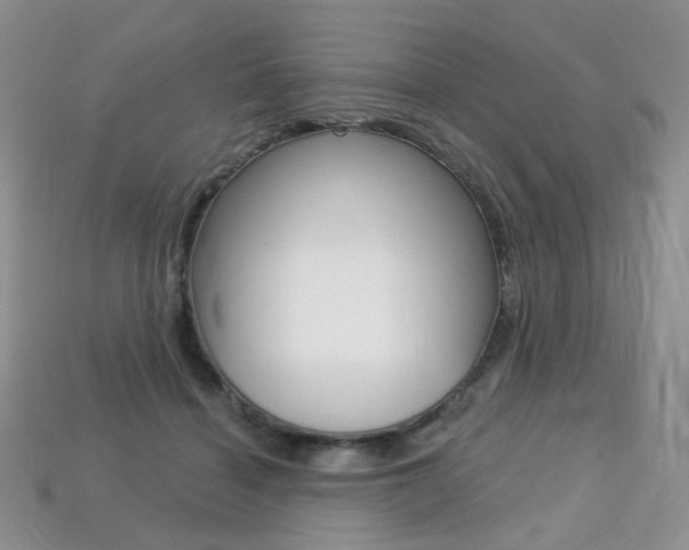 X0000113230460200909100947