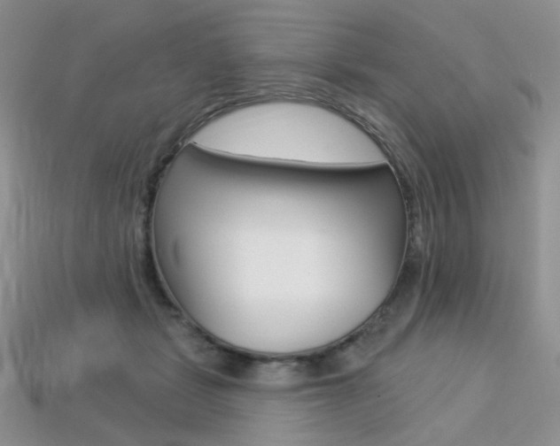 X0000113230461200909100947