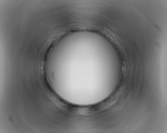 X0000113230462200909100947