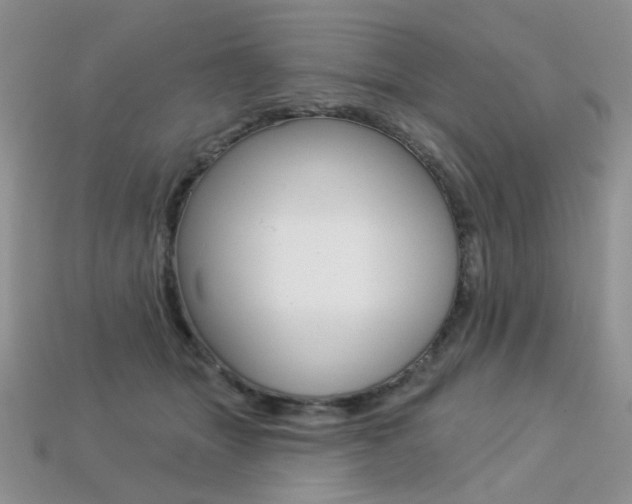 X0000113230463200909100947