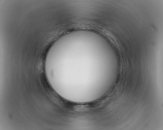 X0000113230465200909100947