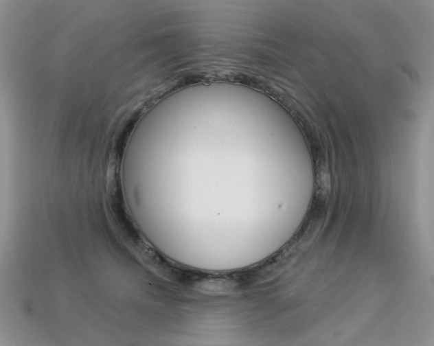 X0000113230468200909100947