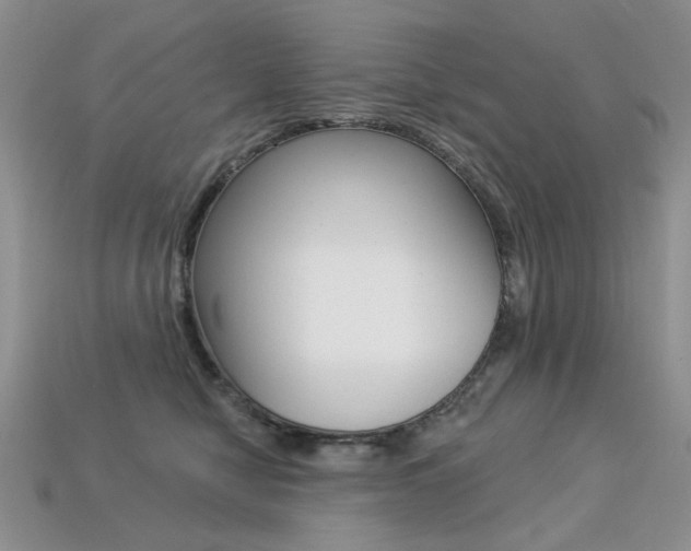 X0000113230470200909100947