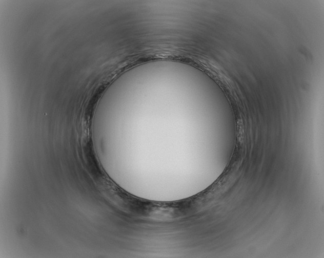 X0000113230471200909100947