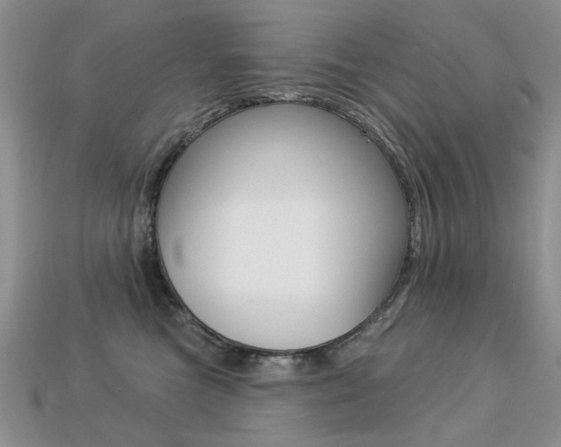 X0000113230473200909100947