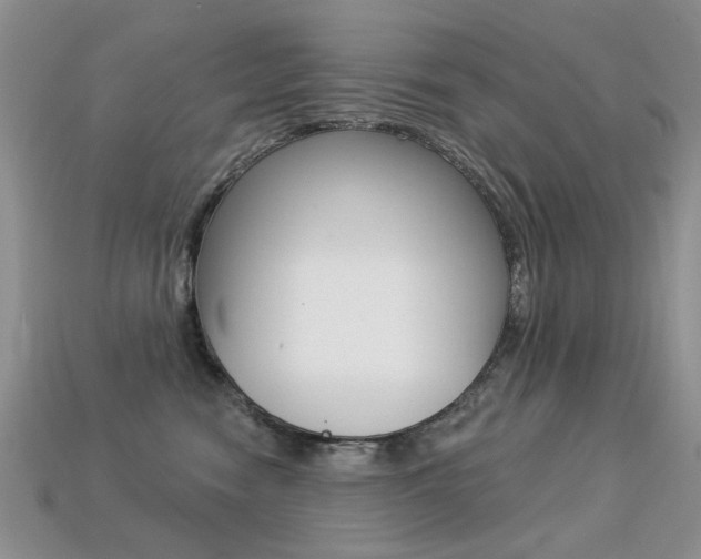 X0000113230474200909100947